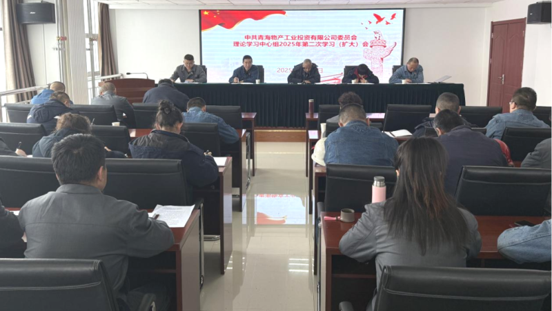 工投公司党委召开理论学习中心组2025年第二次学习（扩大）会