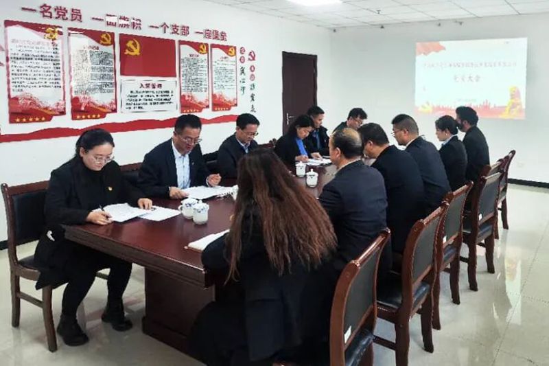 中国共产党临空公司党员大会胜利召开